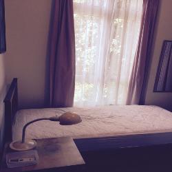 Thomson Vale (D11), Apartment #166884602